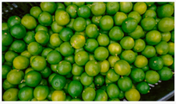 Limão teve alta de preços superior a 86% em maio