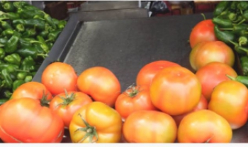 Tomates quase dobraram de preço ao longo do mês