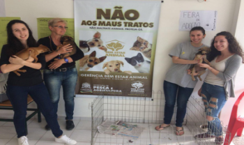 Aunimais realizou sua primeira feira de adoção de cães em 2018, na universidade