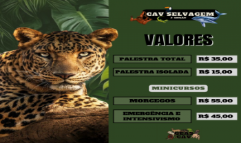 Imagem 5