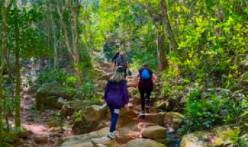 Imagem 5