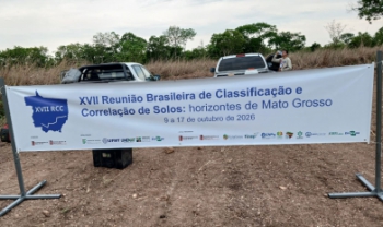 Imagem 4