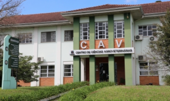 O resultado final está previsto para 24 de novembro de 2026. As contratações serão temporárias, com duração total limitada a dois anos, conforme a necessidade institucional da universidade e as disposições legais. Foto: Matheus Rosa