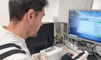Estudo investiga como o vírus associado ao mosaico do trigo infecta as plantas e interfere em seus mecanismos de defesa. Fotos: Arquivo pessoal